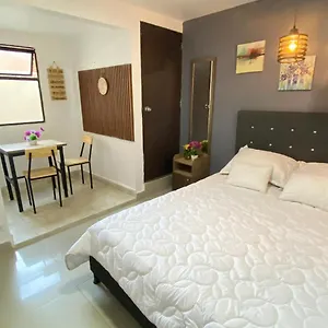 33 Comodo Laureles Estadio 3 3 Banos Apartamento